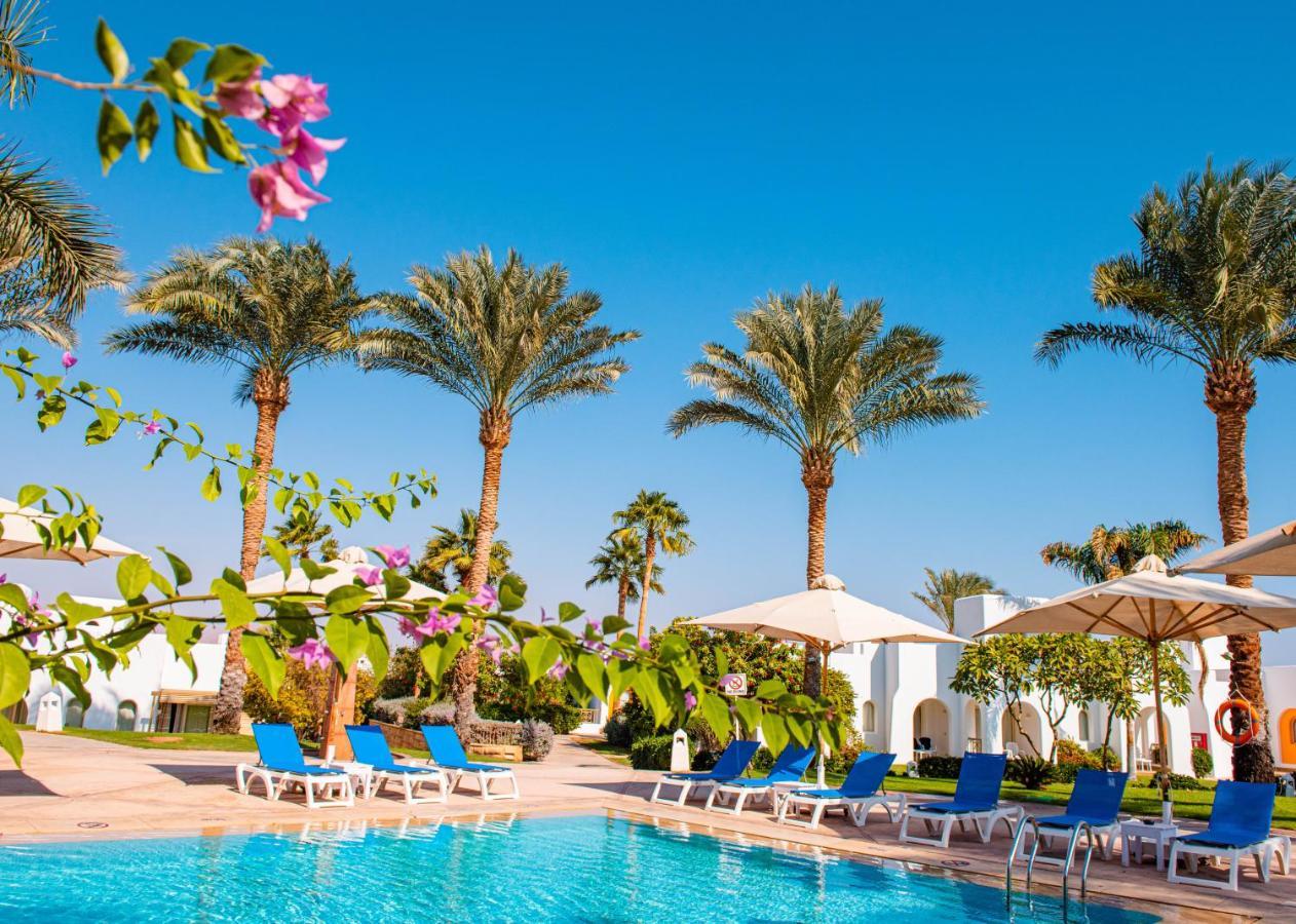 Hotel Novotel Sharm El-Sheikh Шарм-эль-Шейх, Египет — бронируйте Курортные  комплексы, цены в 2024 году